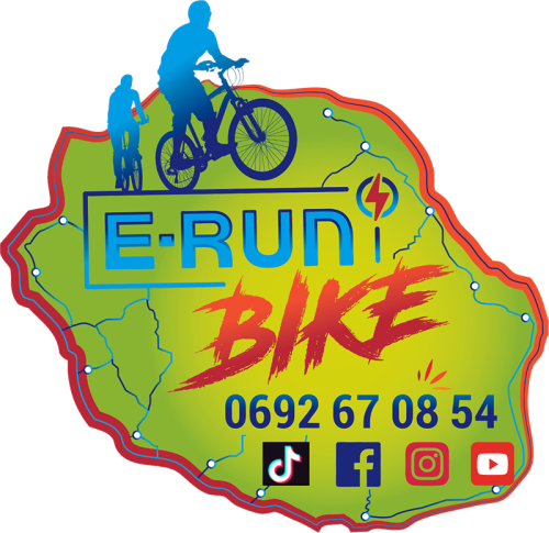 E-Run Bike